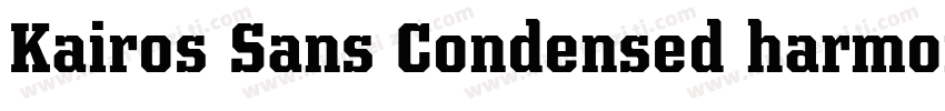 Kairos Sans Condensed harmonized字体转换